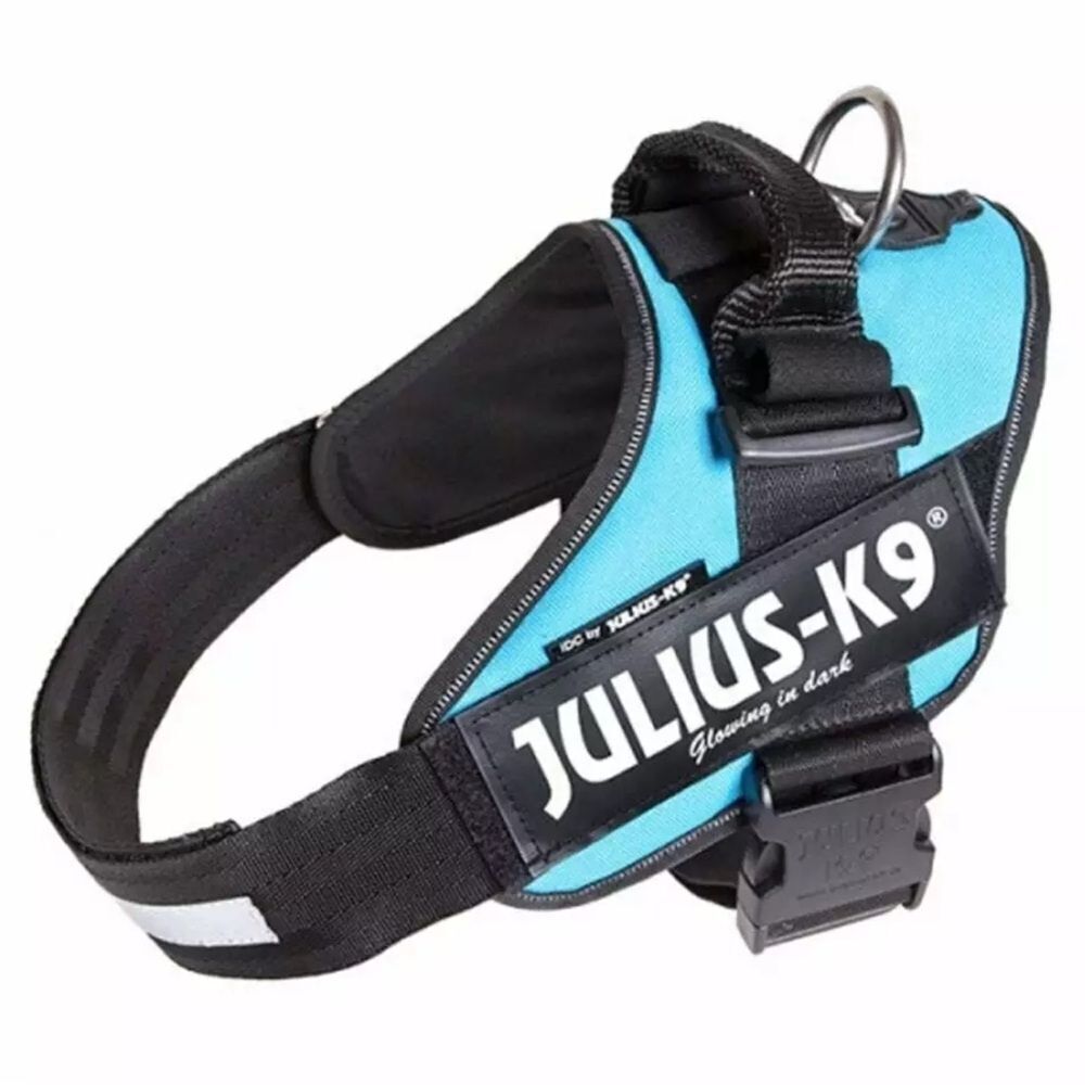 Julius-K9 IDC Powerharness Aquamarine Sz S mini